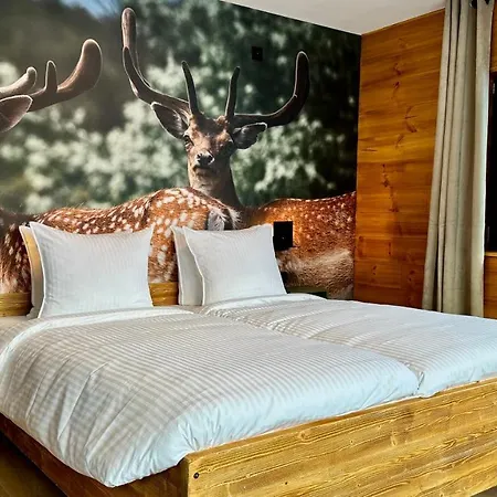 Alpen Hotel Riezlern