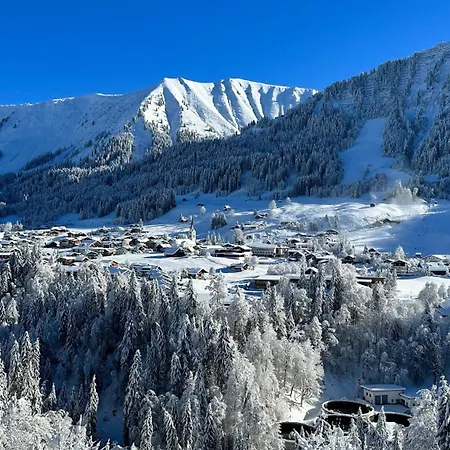 Alpen Hotel