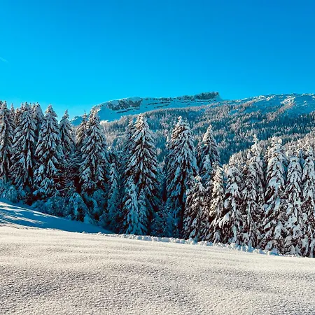 Ξενοδοχείο Alpen Riezlern